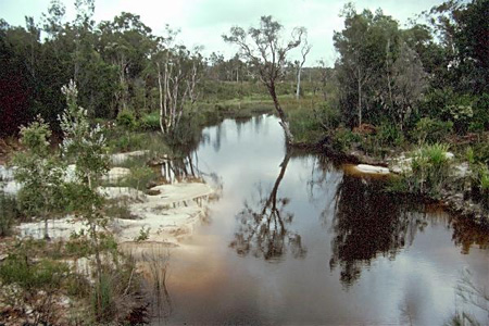 Kangaroo Creek, Tin Can Bay