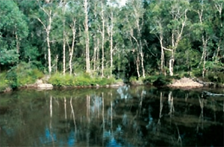  Snapper Creek,    