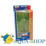   (Amazon Sword Plant).   Hagen, 