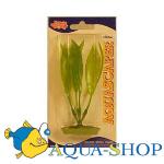 (Amazon Sword Plant).   Hagen, , 13 