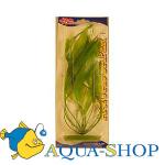  (Amazon Sword Plant).   Hagen, , 30 