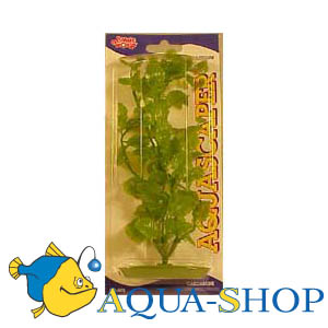  (Cardamine).   Hagen, , 20 