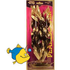  - (Ludwigia - Black).   Hagen, , 30 