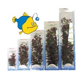   (Red Ludwigia).   Tetra, 38 