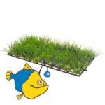   HOBBY Plant Mat 1,  1