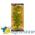  (Cardamine).   Hagen, , 20 