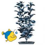 - (Ludwigia - Black).   Hagen, , 13 