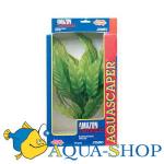   (Amazon Sword Plant).   Hagen,  