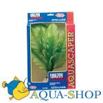   (Amazon Sword Plant).   Hagen, 
