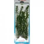  (Elodea).   Tetra, 38 