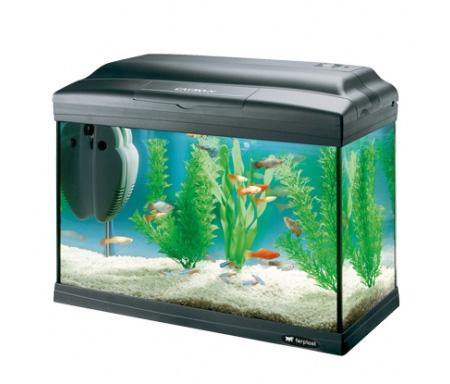  FERPLAST CAYMAN 40 PLUS, , 21 