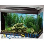  FERPLAST CAYMAN 60 "PROFESSIONAL", 75 , 