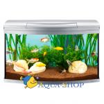  Tetra AquaArt Evolution Line, 100 