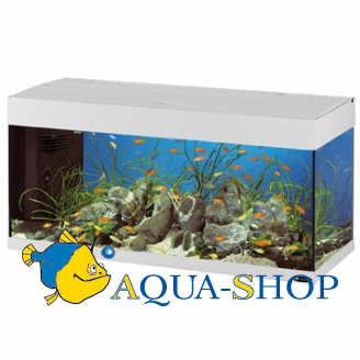  FERPLAST DUBAI 100, 190 , 
