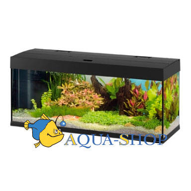  FERPLAST DUBAI 120, 240 , 