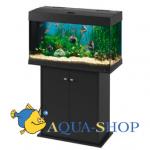  FERPLAST DUBAI 80, 125 , 