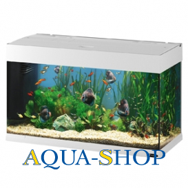  FERPLAST DUBAI 80, 125 , 