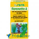    Sera FLORENETTE A, 24 .