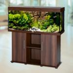  JUWEL Rio 240, -, 240 