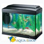  FERPLAST CAYMAN 40 "CLASSIC", 21 , 