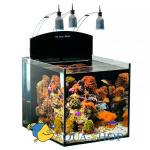  Aqua Medic  "Blenny", 80 