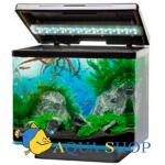  JUWEL VIO 40, 40  