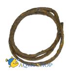  Terra Vine "L", 180 ,  18 .    Lucky Reptile