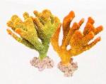 Коралл пластиковый REPLICA LIVE CORAL, L210 x W160 x H240 мм, оранжевый
