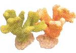 Коралл пластиковый REPLICA LIVE CORAL, L170 x W140 x H155 мм, оранжевый