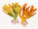Коралл пластиковый REPLICA LIVE CORAL, L210 x W160 x H240 мм, желтый