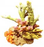 Коралл пластиковый LAY-OUT LIVE CORAL, L290xW220xH330 мм