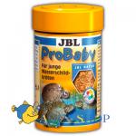     JBL ProBaby, 100 