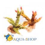 Коралл пластиковый REPLICA LIVE CORAL, L220 x W120 x H170 мм, оранжевый