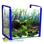  Anubias, 38 , 463138 