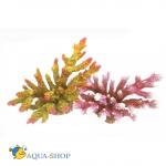 Коралл пластиковый REPLICA LIVE CORAL, L165 x W90 x H95 мм, розовый