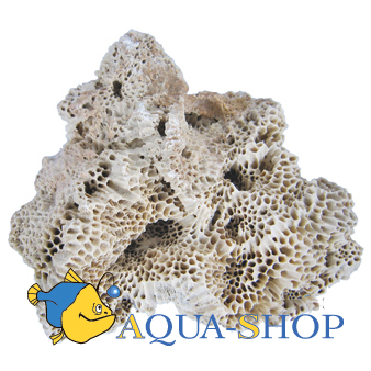   Geissler Brassa-Rock, 
