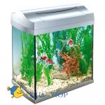  Tetra AquaArt Discover Line, , 20 