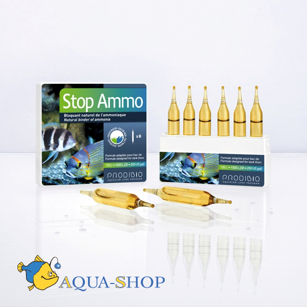          STOP AMMO, 6 