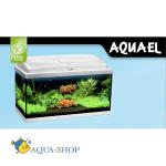  Aquael CLASSIC WHITE-60, , 