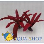 Эхинодорус Рубин. Растение шелковое Tetra DecoArt Plantastic, красное 20 см