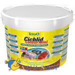    TetraCichlid Colour Mini, 10 , 