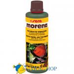    Sera MORENA, 100 