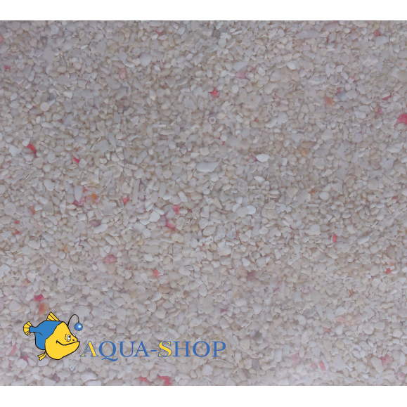   Philipine Sand L, , 5-6 , 10 