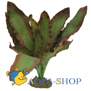 Эхинодорус Розеа. Растение шёлковое, 40 см