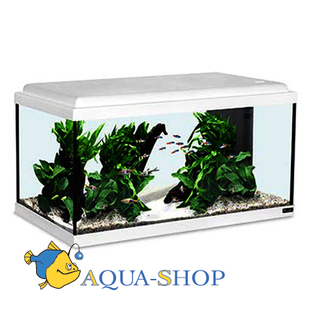 AQUATLANTIS ATLANTIS 40,  (025), 41.520.527.5 , 20 , LED 19 (leds)+FIL. Mini Biobox
