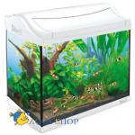    Tetra AquaArt Shrimps Discover Line,  20 382634 