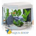  AQUATLANTIS CALYPSO  (025), 402534 , 27, LED 19 (leds)+FIL. Mini Biobox2