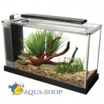  Hagen Fluval SPEC, 19 , 