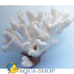 Коралл пластиковый белый, 17х14х11 см
