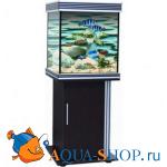  Anubias B-600M, 205, , 2x24W T5, 60x60x65, 
